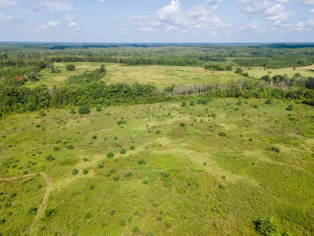 Photo of Listing #1009236