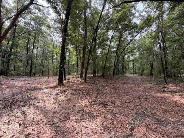 Photo of Listing #1009212