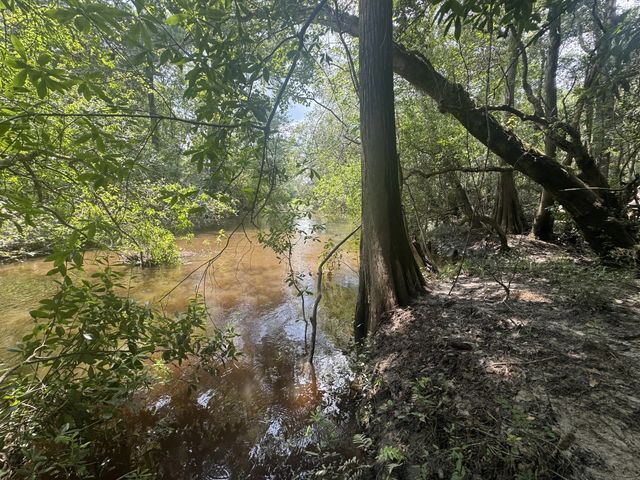 Photo of Listing #1009001