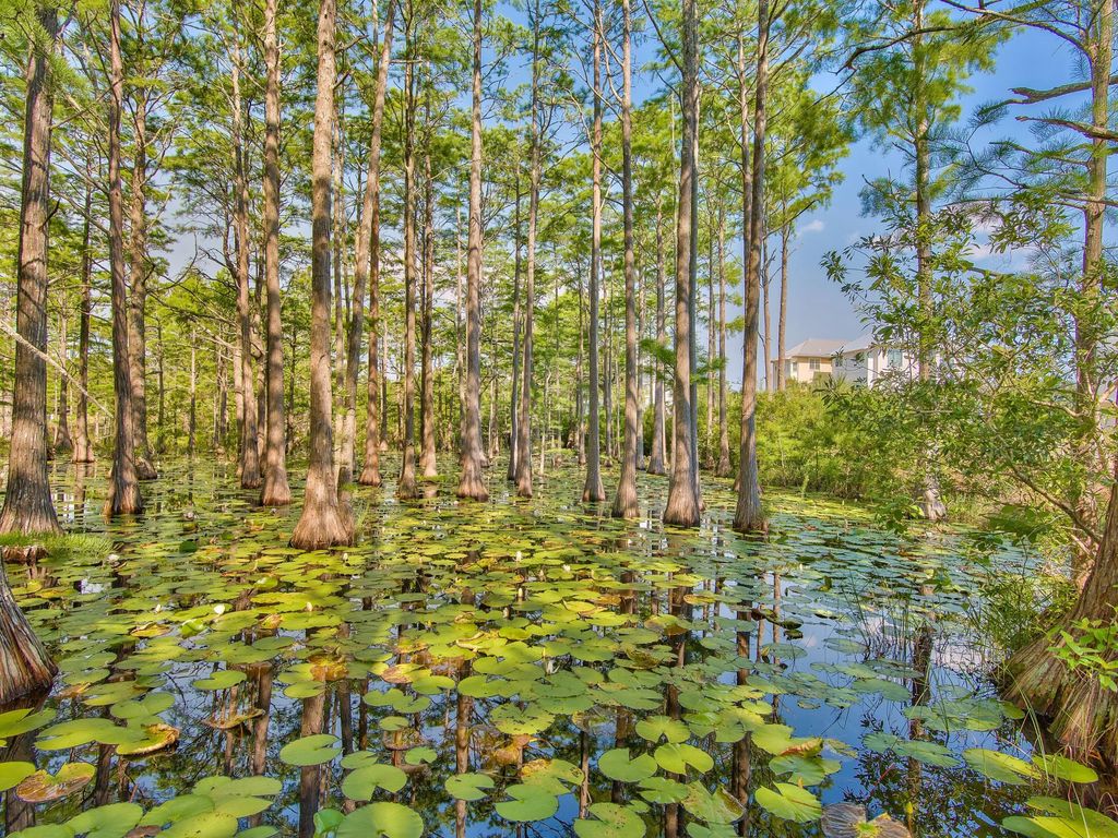 44 of 70 - Lot 16 Cypress Drive, Santa Rosa Beach, FL