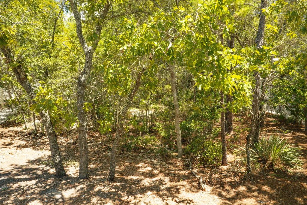 4 of 33 - Lot 44 Bosk Lane, Santa Rosa Beach, FL