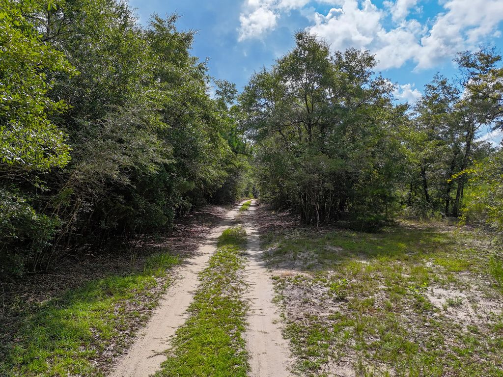 40 Acres Mossy Bend Road, Red Bay
