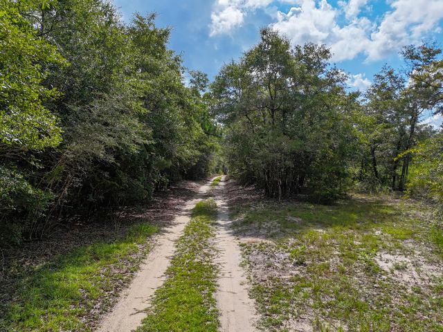 Photo of Listing #1009534