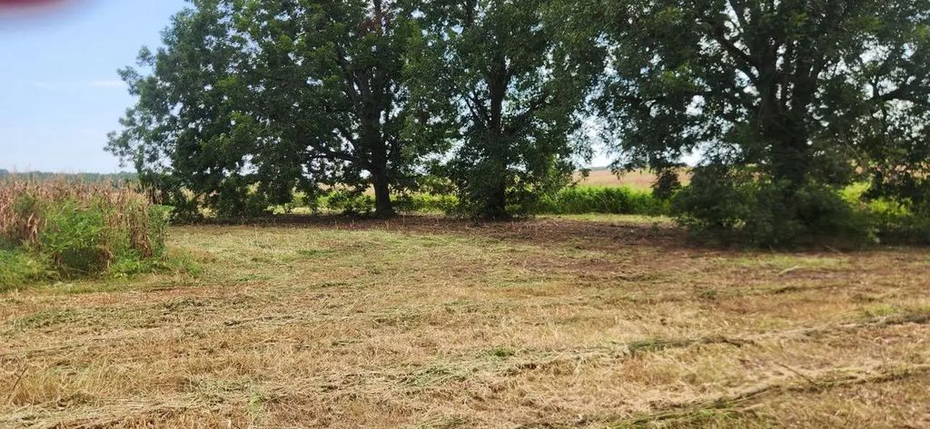 6584 E State Highway 2, Westville