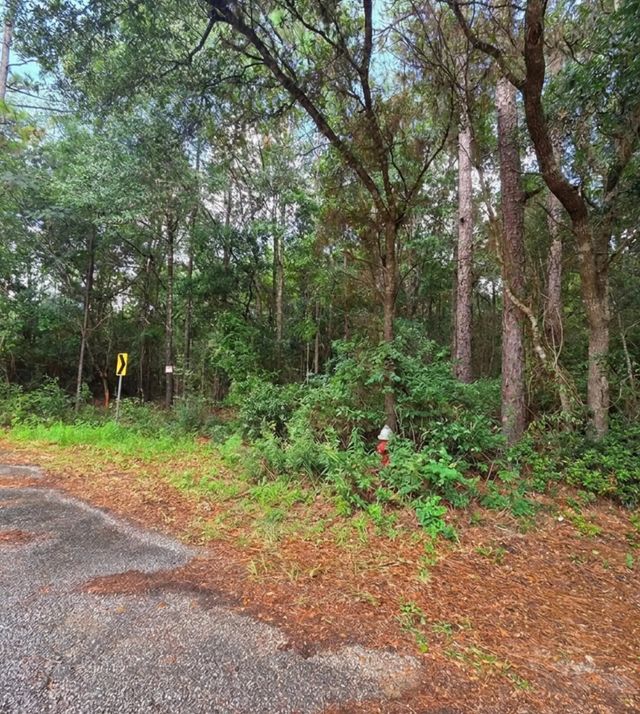 Photo of Listing #1009701