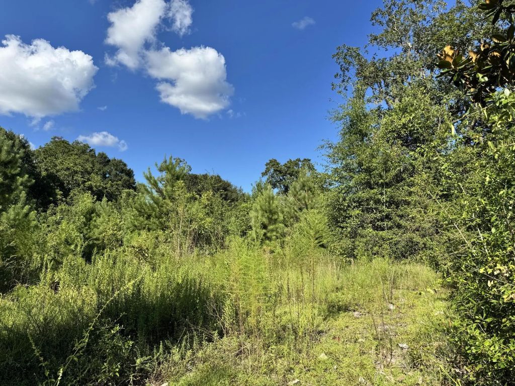 14 15 16 4th Avenue, Florala
