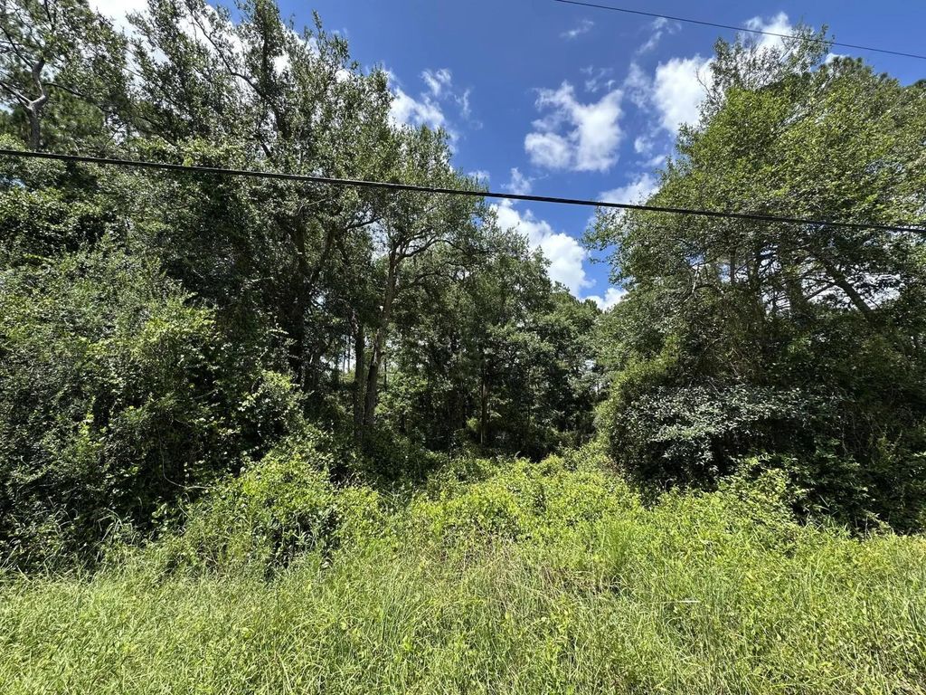 13 of 15 - 1.21 Ac. Oak Avenue, Santa Rosa Beach, FL