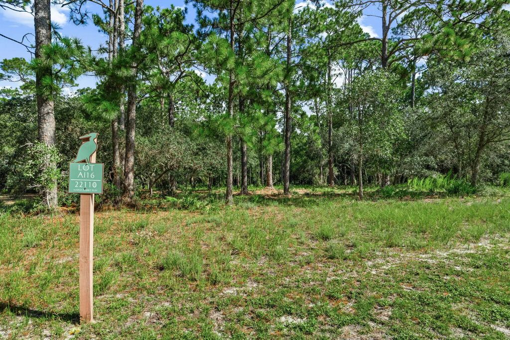 4 of 50 - 22110 Marsh Rabbit Run, Panama City Beach, FL