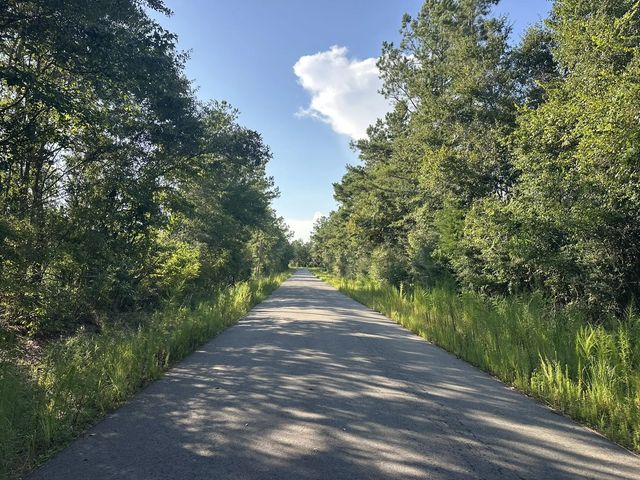 Photo of Listing #1009933