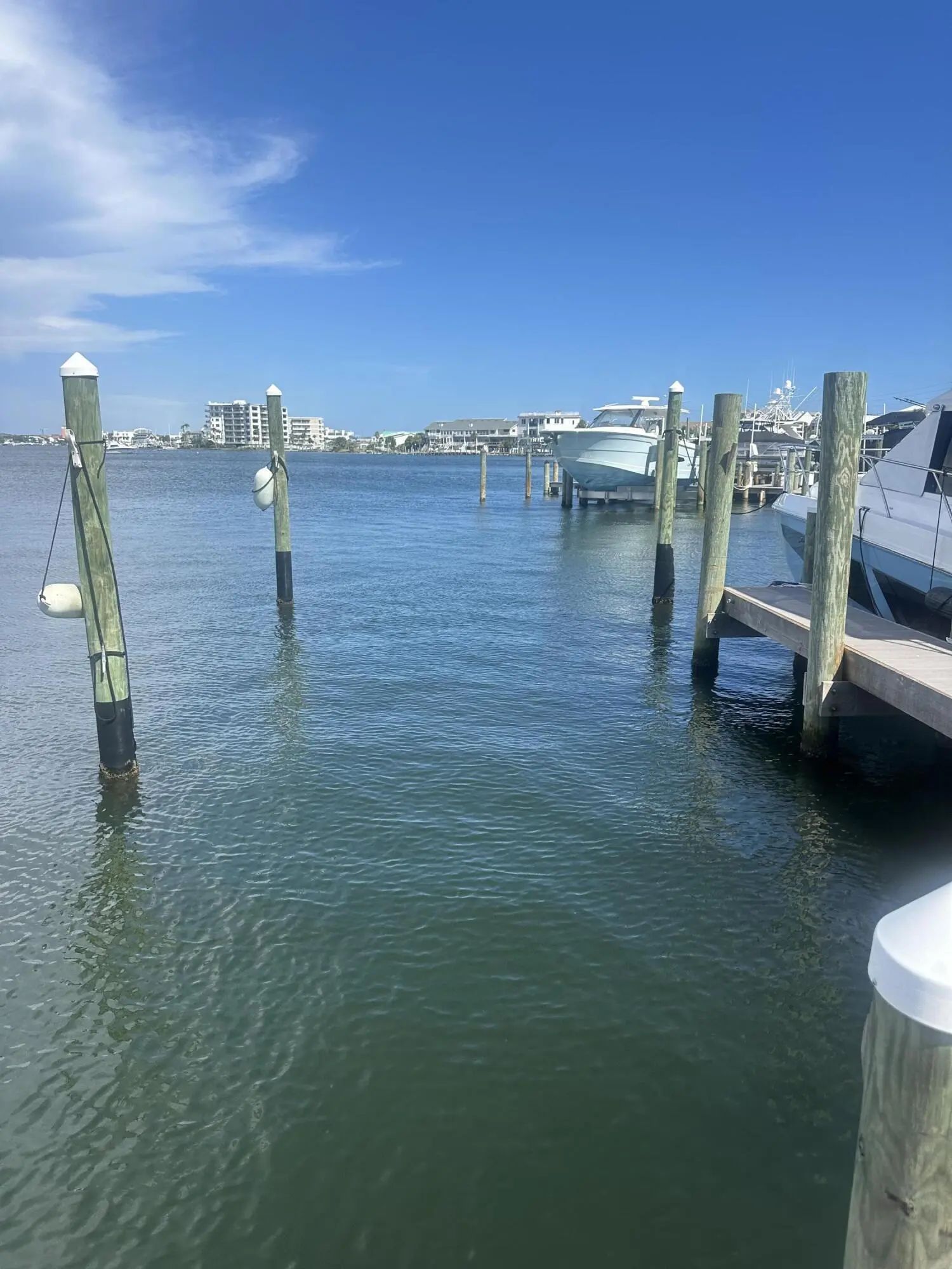 Photo of Listing #1010007