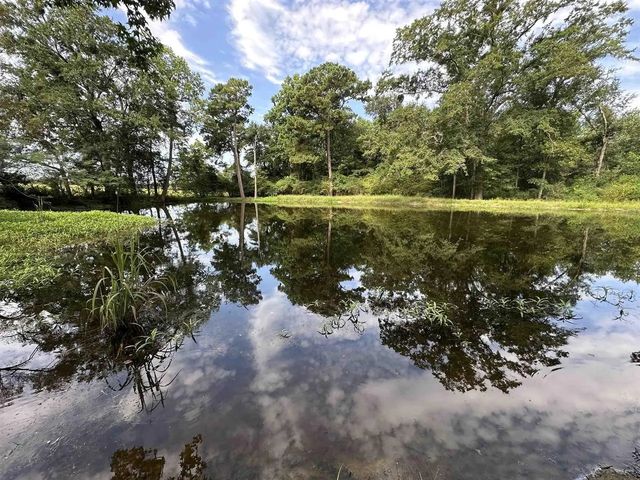 Photo of Listing #1010054