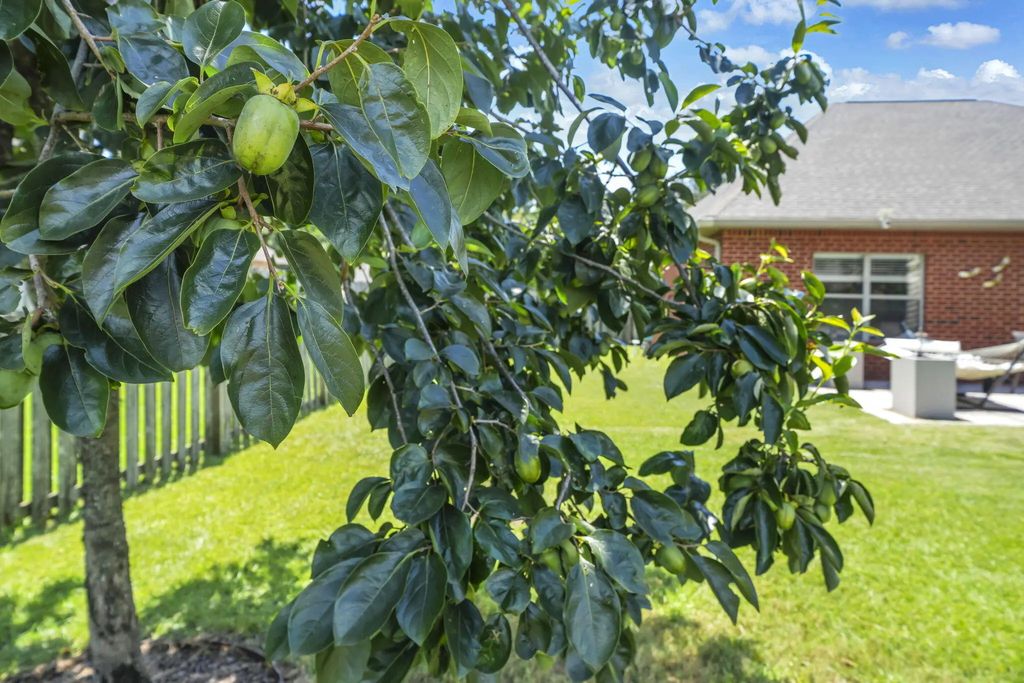 52 of 68 - 163 Camellia Court, Freeport, FL
