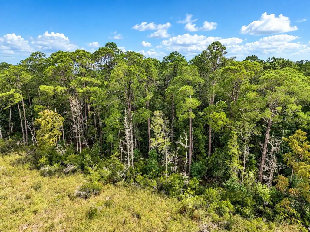 6 of 10 - Tbd County Highway 83a, Freeport, FL