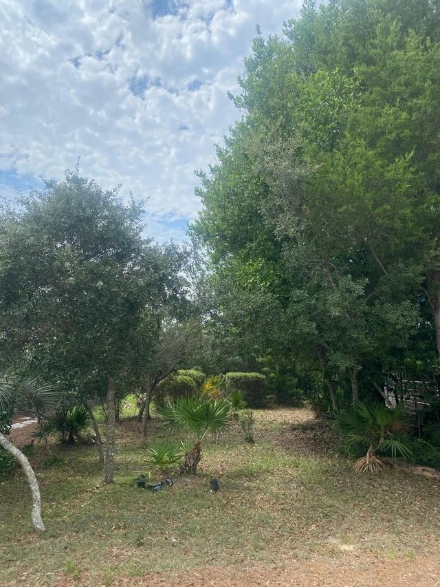 Photo of Listing #1010143