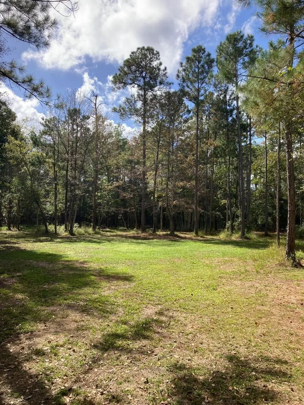 6 of 8 - 000 Jolly Bay Road, Freeport, FL