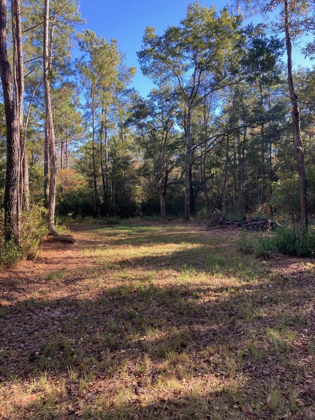 10 of 12 - 000 Jolly Bay Road 3, Freeport, FL
