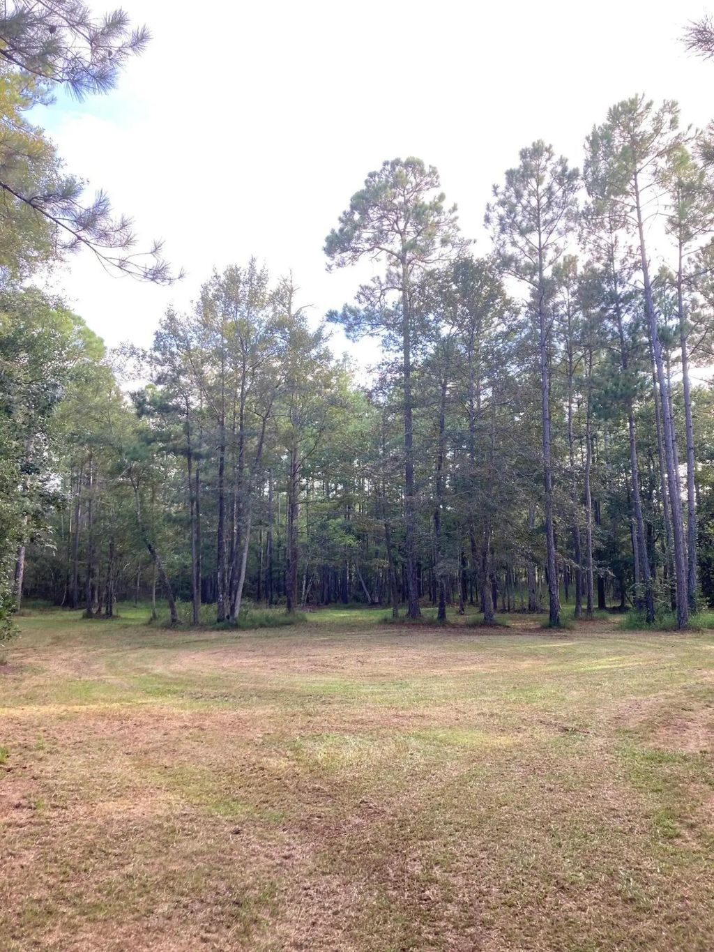 11 of 12 - 000 Jolly Bay Road 3, Freeport, FL