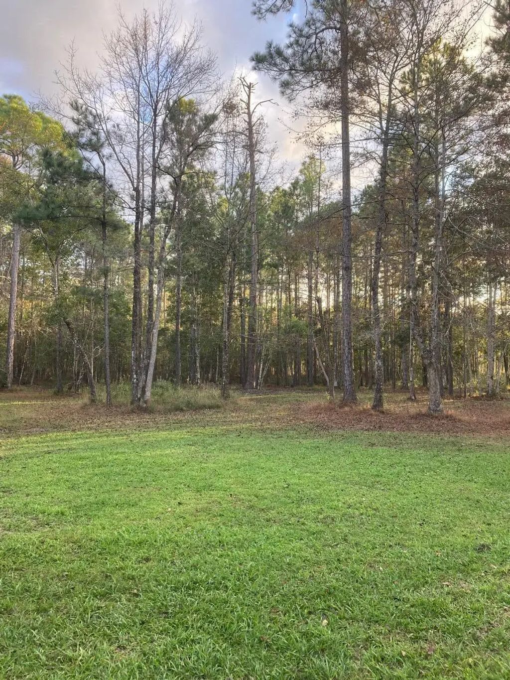 8 of 12 - 000 Jolly Bay Road 3, Freeport, FL