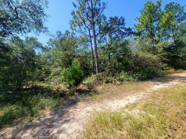 Photo of Listing #1010355
