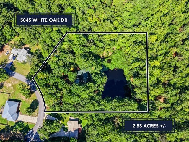 Photo of Listing #1010646