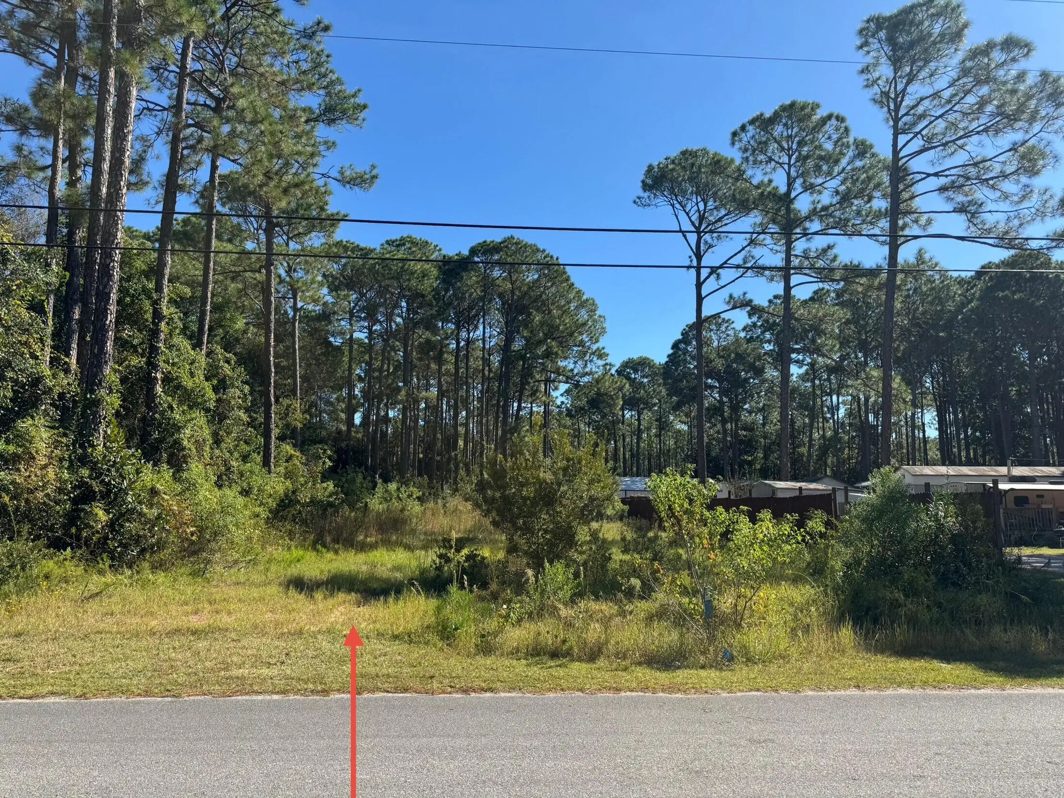 Photo of Listing #1010911