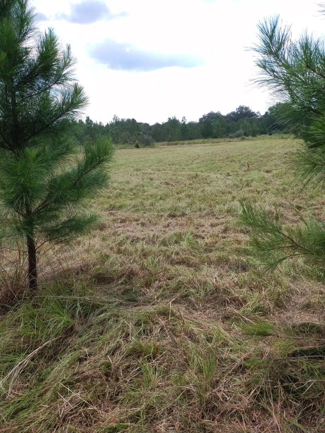 Photo of Listing #1010475