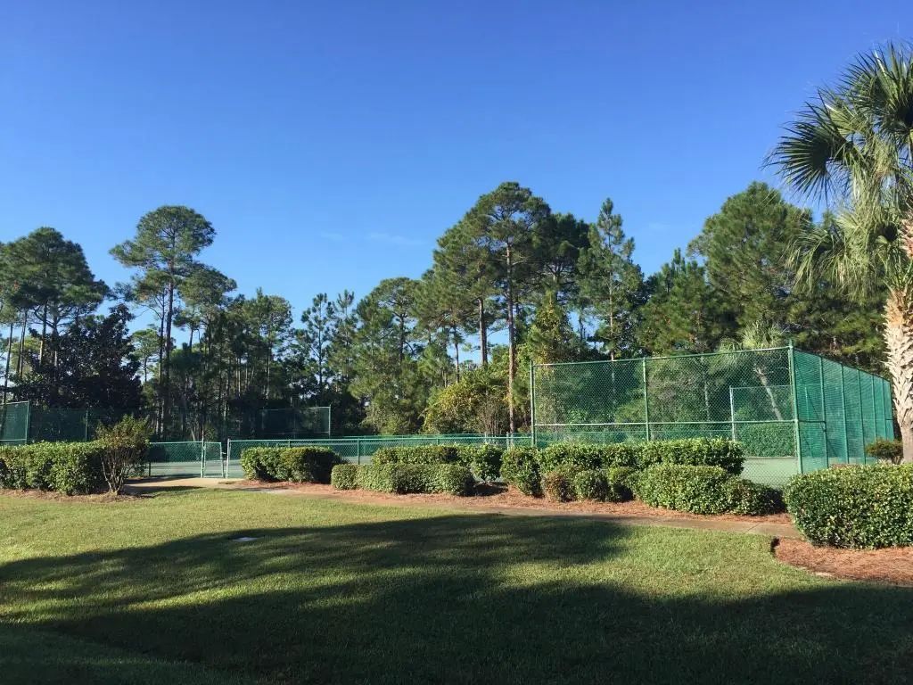 41 of 58 - 543 Shelter Cove Drive, Santa Rosa Beach, FL