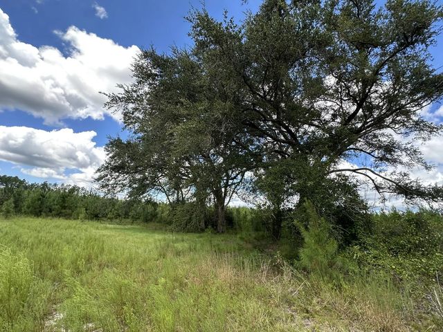 Photo of Listing #1010503