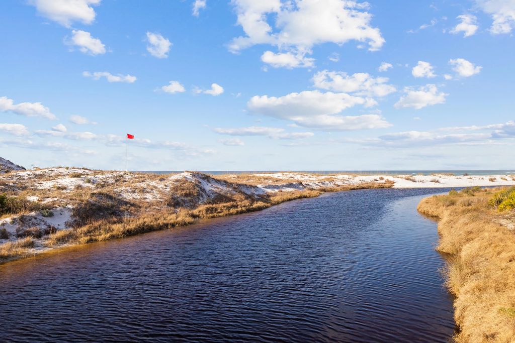 51 of 57 - 260 Gulf Bridge Lane, Inlet Beach, FL