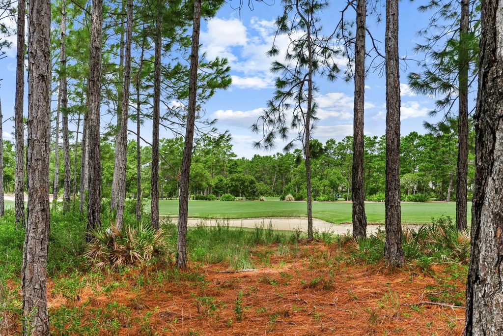 51 of 102 - 1401 Salamander Trail # 1401, Panama City Beach, FL