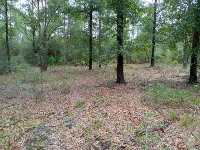 Photo of Listing #1011089