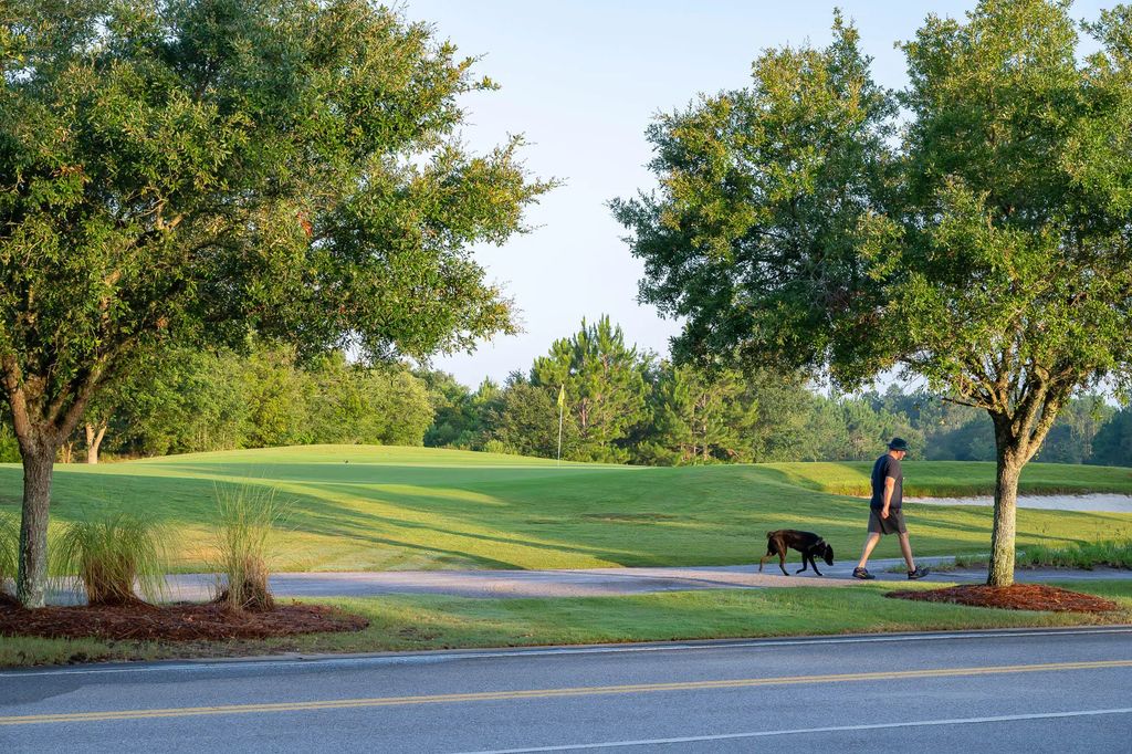 6 of 18 - 1094 Suwannee Drive Lot 49, Watersound, FL