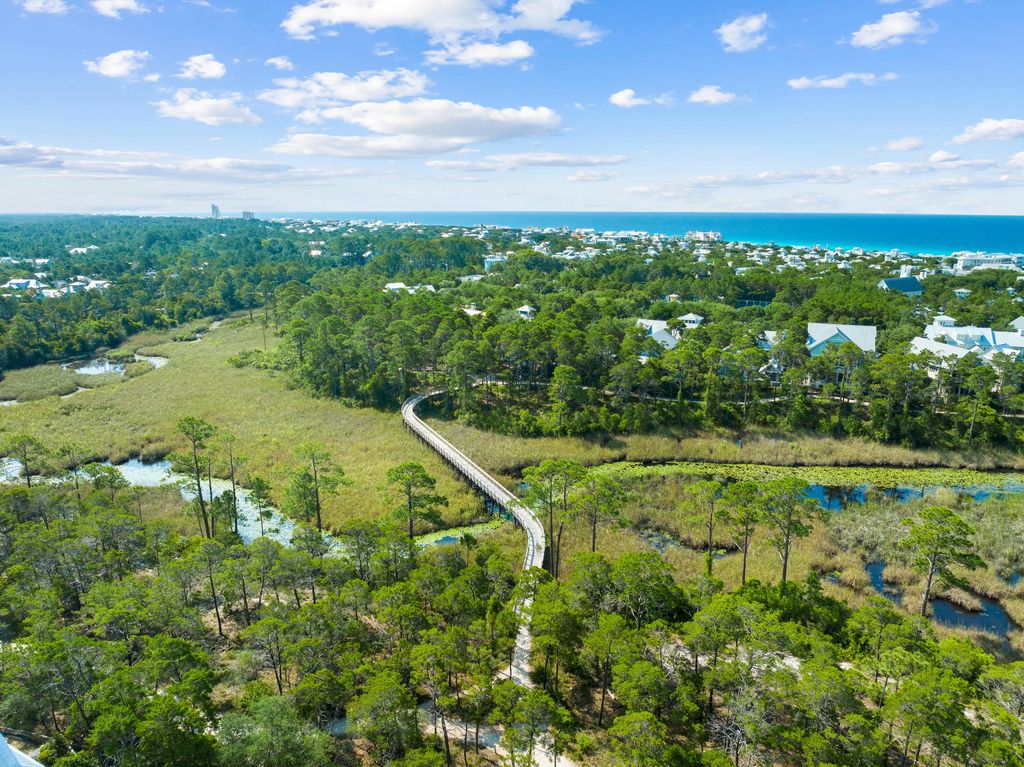 42 of 43 - 367 E Royal Fern Way, Santa Rosa Beach, FL