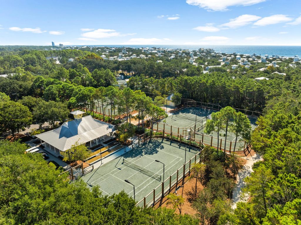 43 of 43 - 367 E Royal Fern Way, Santa Rosa Beach, FL