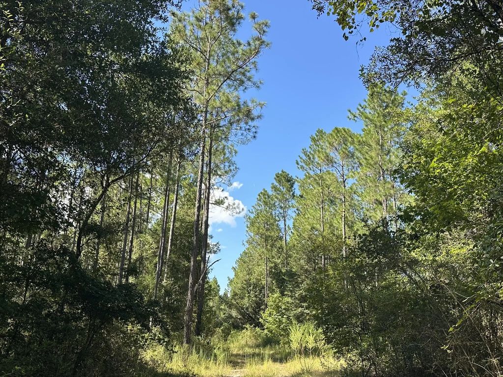 Tract#6421 Johnson Road, Caryville