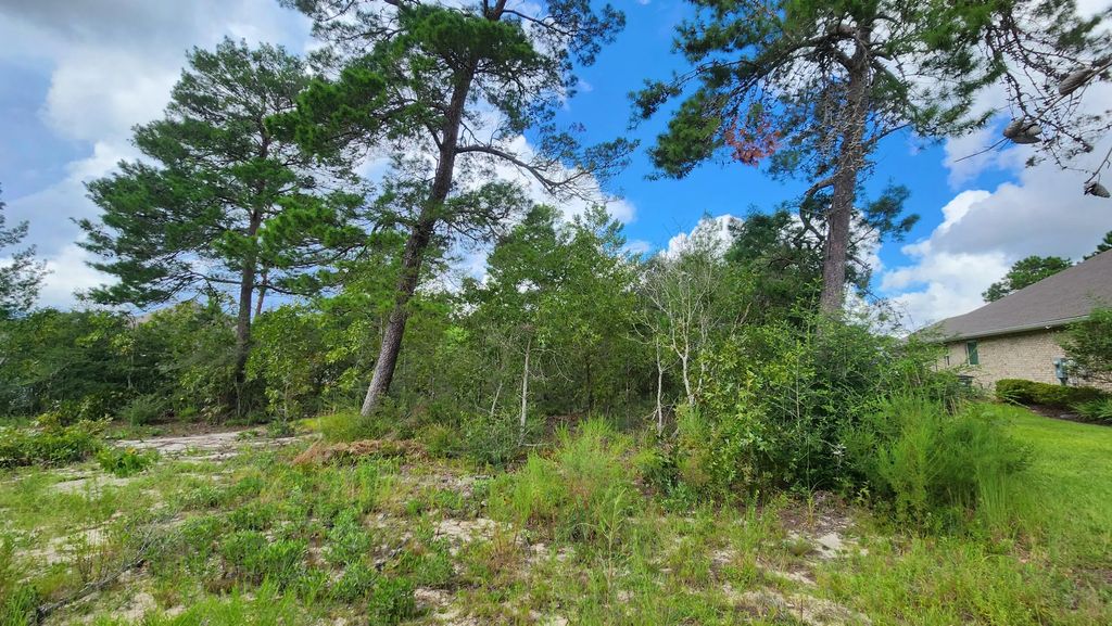 5 of 7 - Lot 20b W Club House, Freeport, FL