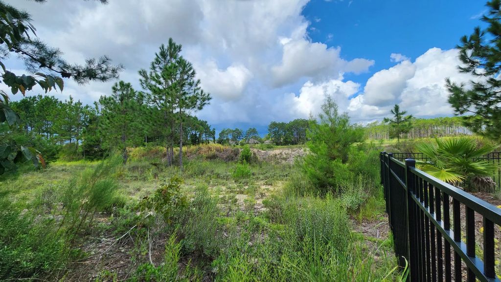 6 of 7 - Lot 20b W Club House, Freeport, FL