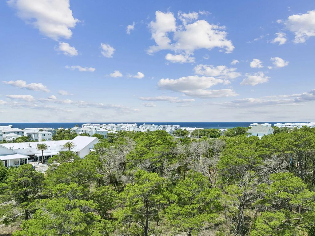 # Holly Leaf Lane, Inlet Beach