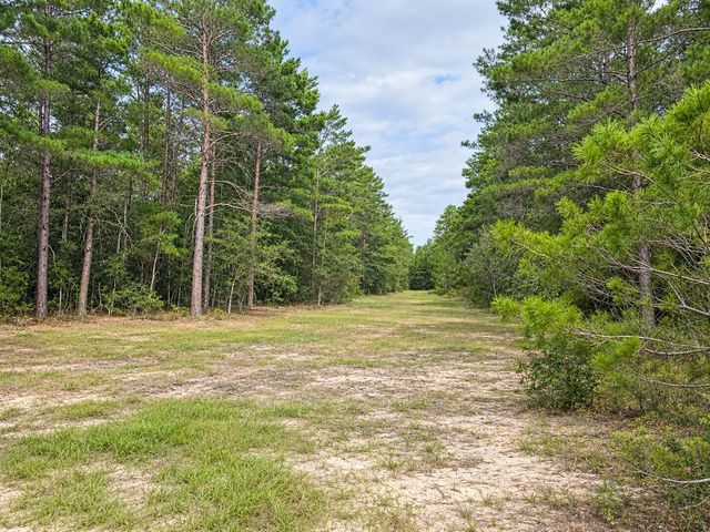 Photo of Listing #1011719