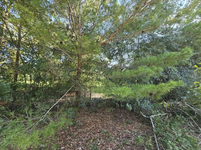 Photo of Listing #1011768