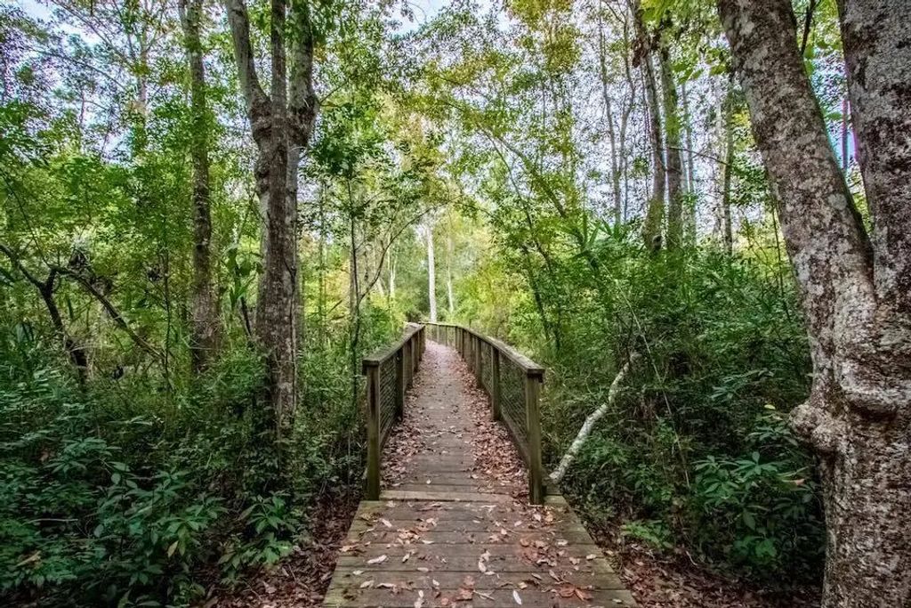 50 of 50 - 129 Leap Year Lane, Freeport, FL