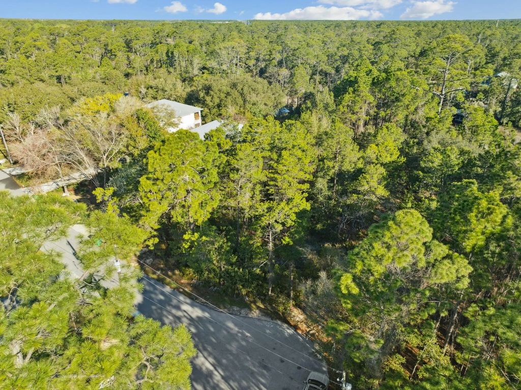 19 of 32 - Lot 5 W Shore Drive, Inlet Beach, FL