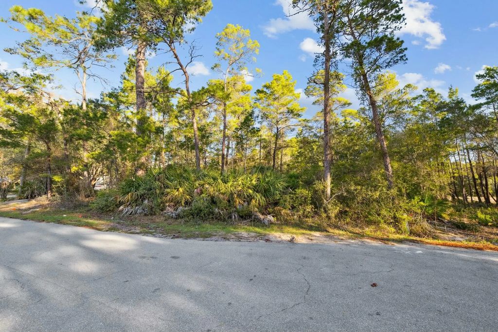 22 of 32 - Lot 5 W Shore Drive, Inlet Beach, FL