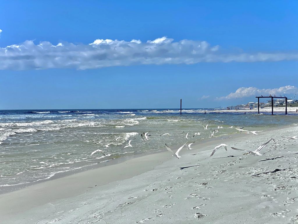 22 of 31 - 1519 Sharks Tooth Trail, Panama City Beach, FL