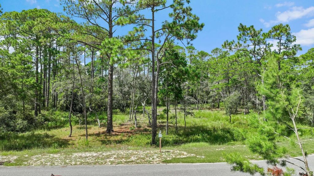 3 of 31 - 1519 Sharks Tooth Trail, Panama City Beach, FL