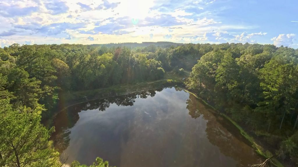 71 Acres Pouncey Drive, Florala
