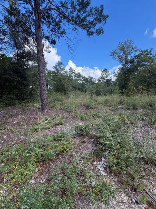 Photo of Listing #1011898