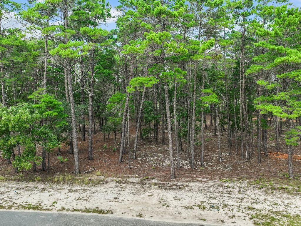 8 of 46 - 1804 Lost Cove Court, Panama City Beach, FL