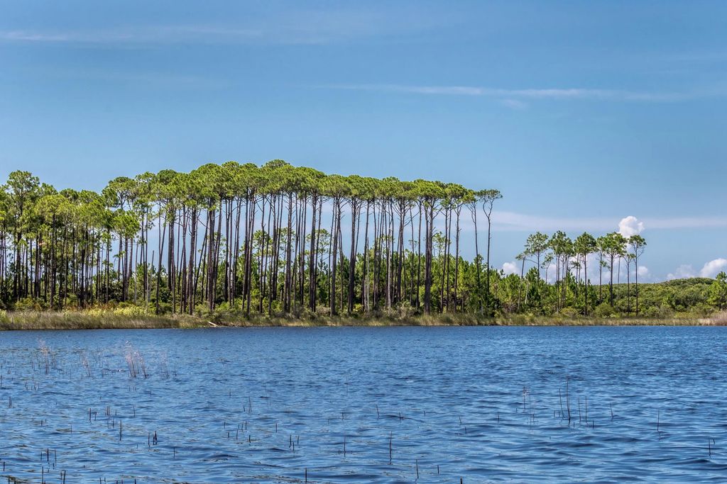 91 of 91 - 114 Sunset Ridge Lane, Santa Rosa Beach, FL