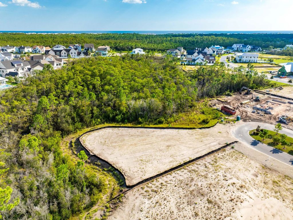 10 of 16 - Lot 201 Sundew Place, Watersound, FL